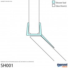 SH001 Shower Screen Seal (10mm glass)